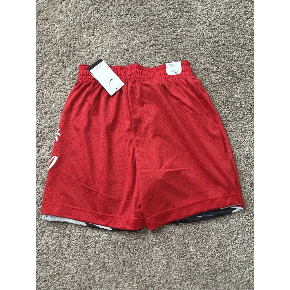 Nike Standard Issue Mens Large Mesh Basketball Shorts New Reversible DV9607 010